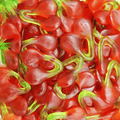 Cerise Double Haribo