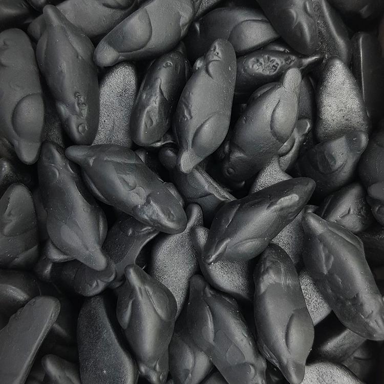 Souris noire Frisia
