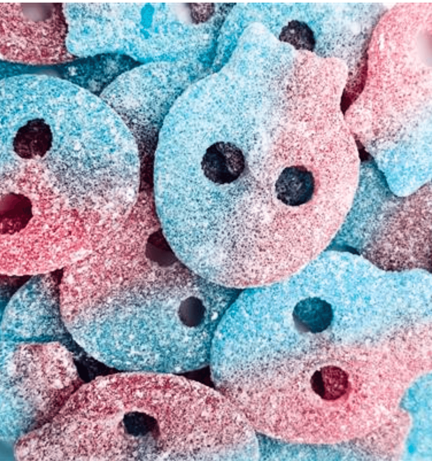 Crâne Bubblegum Acidulé Lollywood