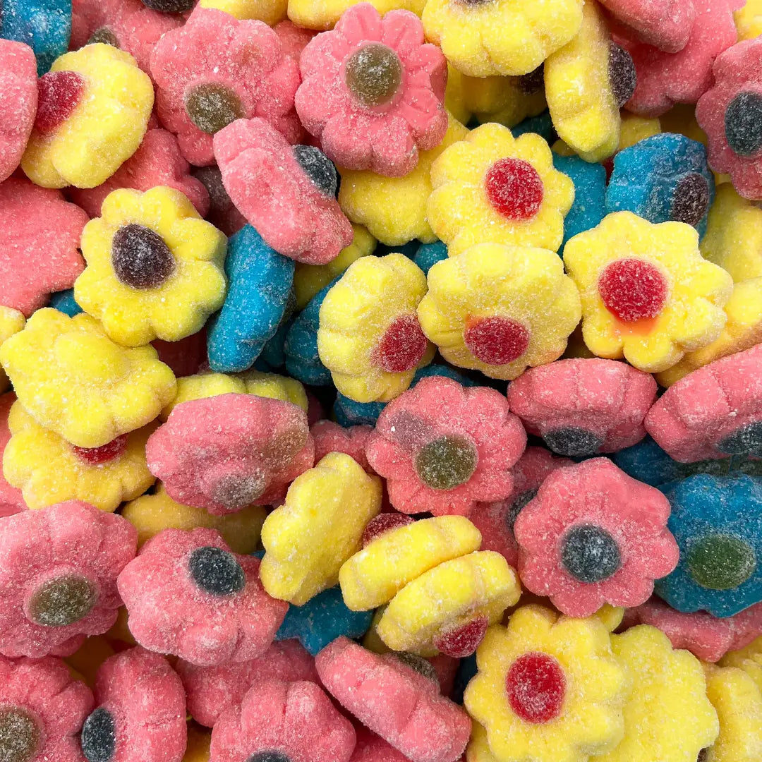 Dulceplus Fleur Sucrée Assortie