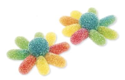 D036 Dulceplus Poulpe Acide