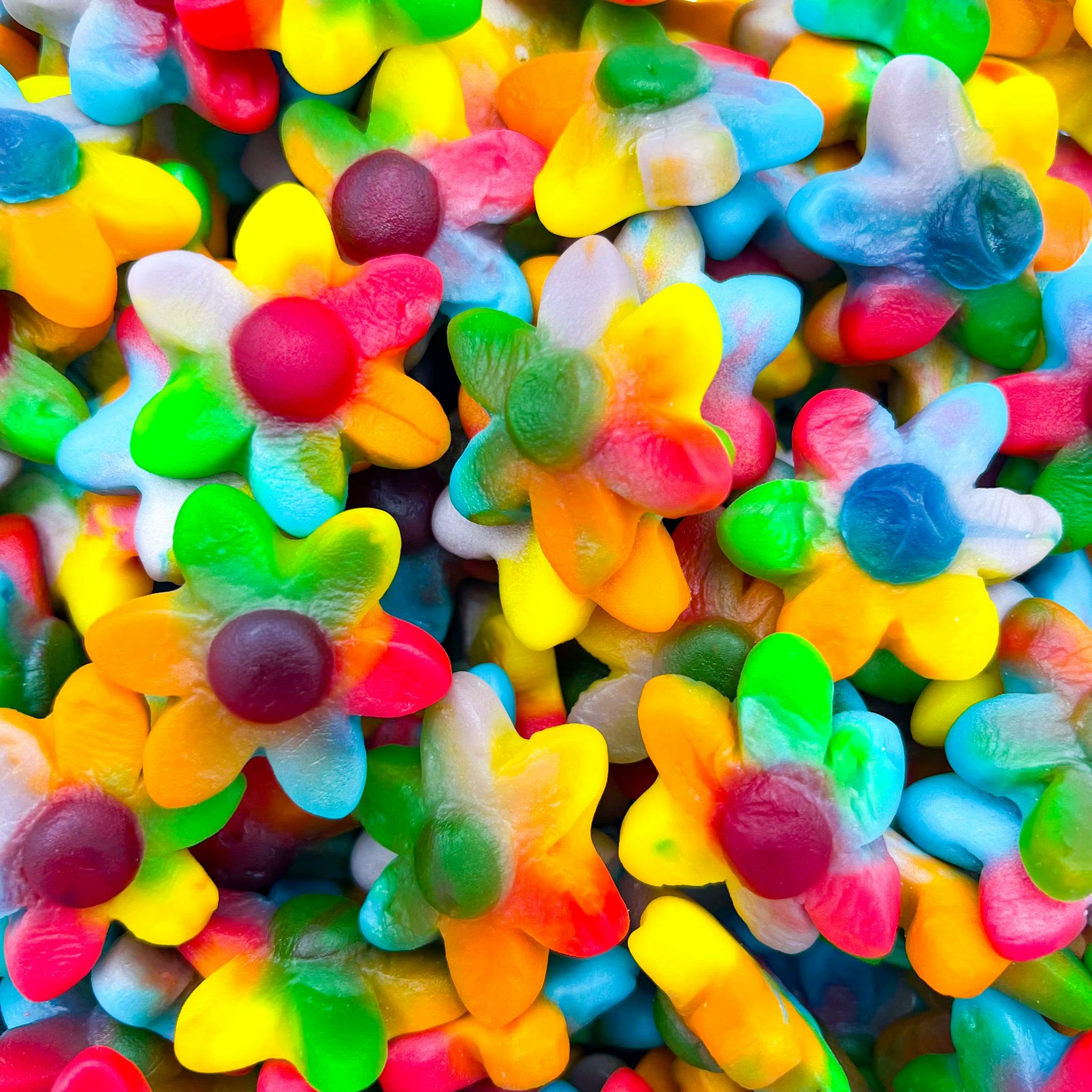 Fleurs Multicolore Dulceplus